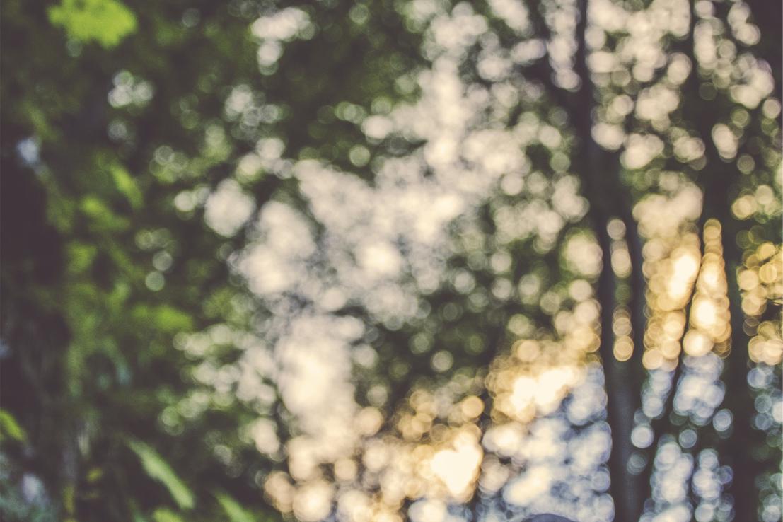 Quo error ratione laborum