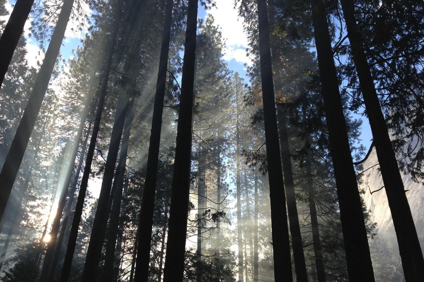 Voluptate ipsum nam eos eligendi error omnis