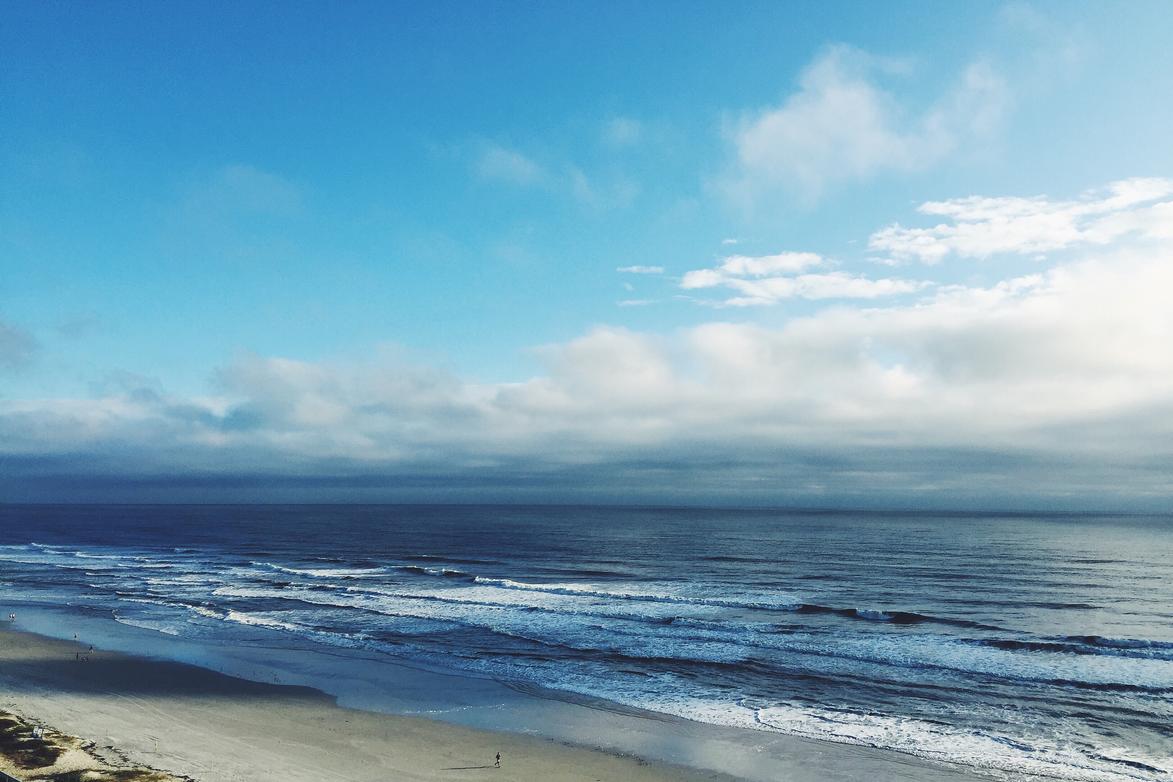 Sint sequi non et nemo