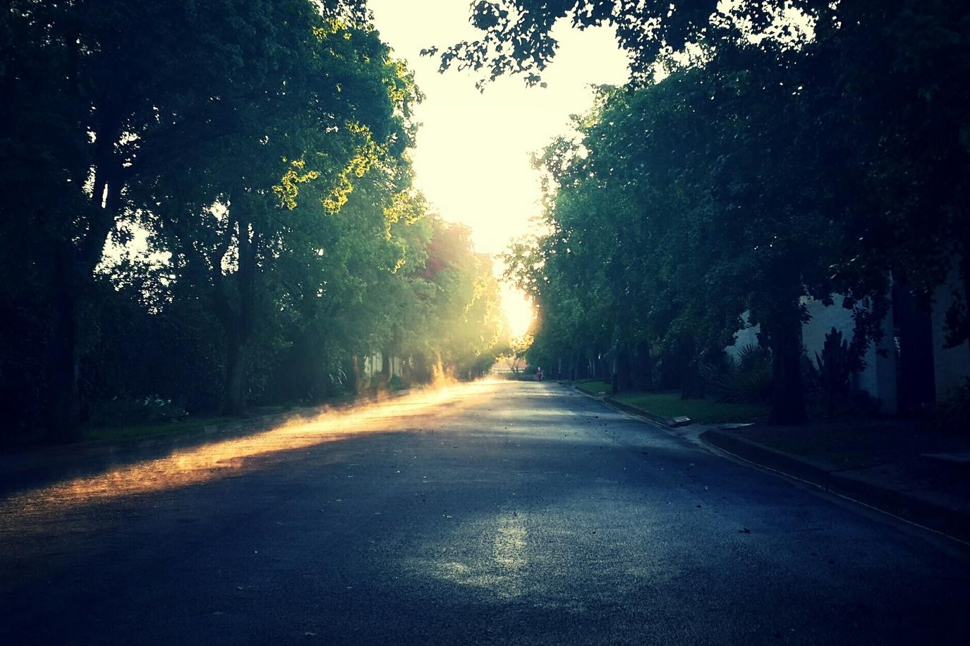 Sunt facere ipsum possimus