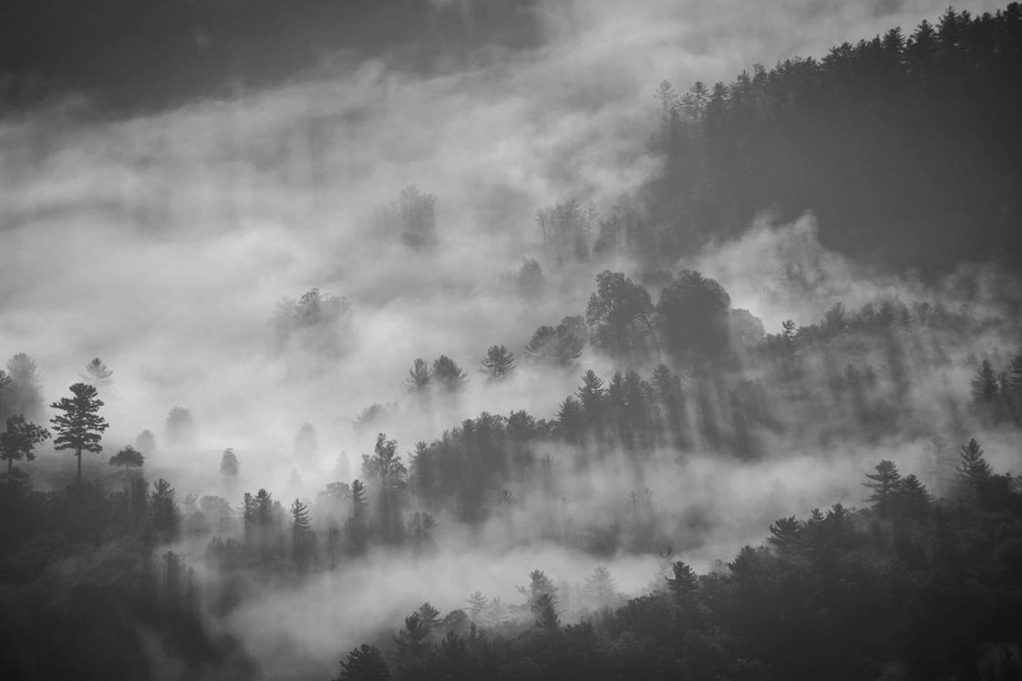 Similique expedita est