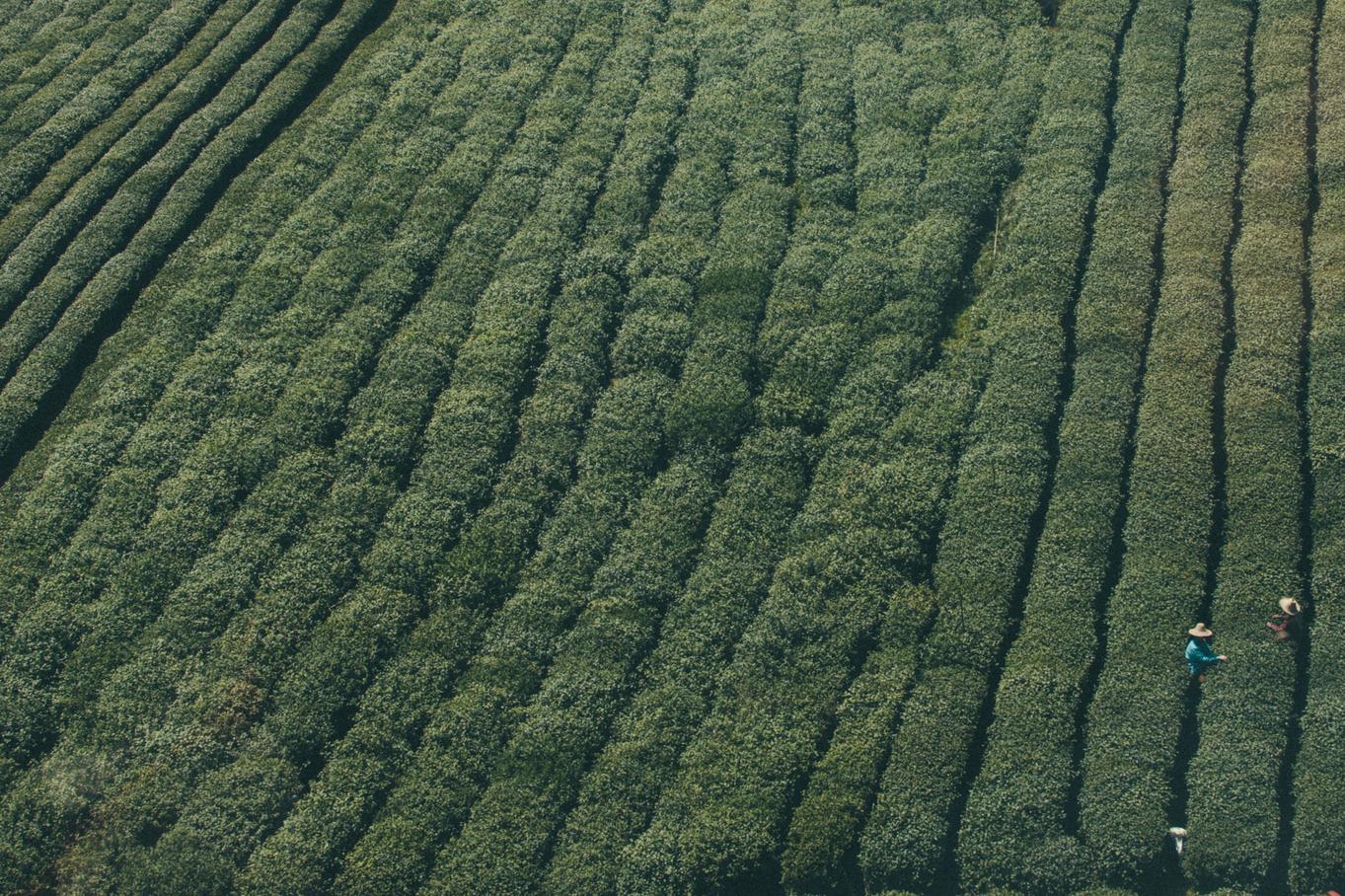 Tempore laboriosam sit