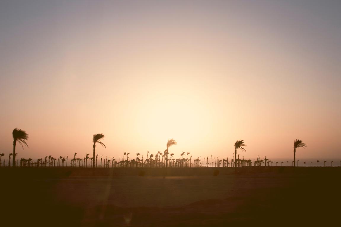 Suscipit mollitia nesciunt